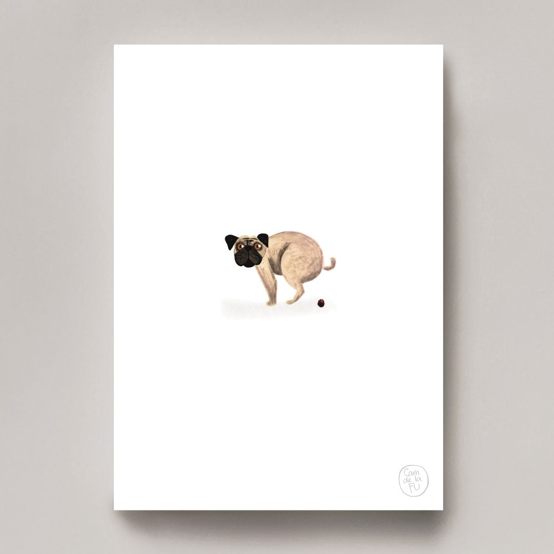 Pug