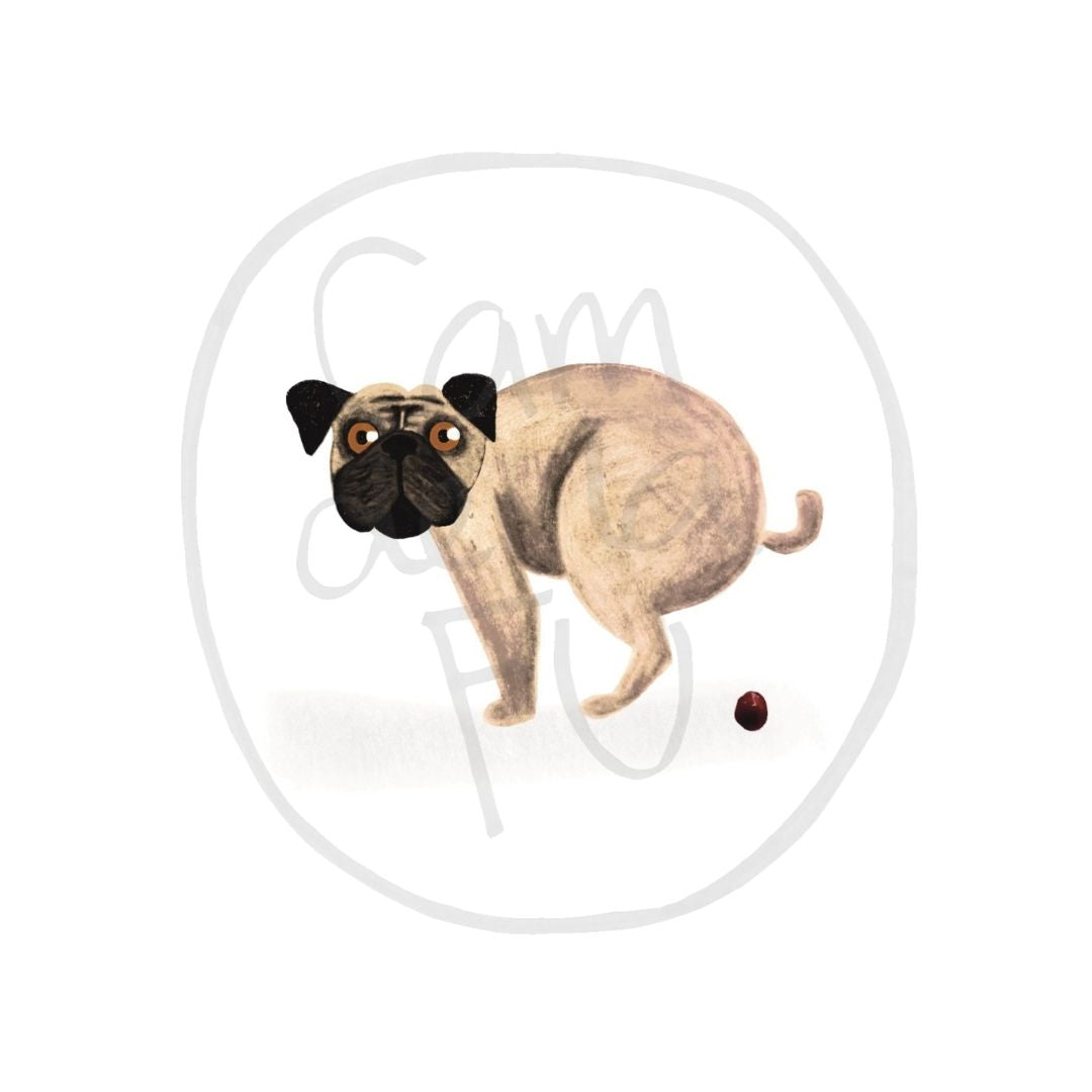 Pug