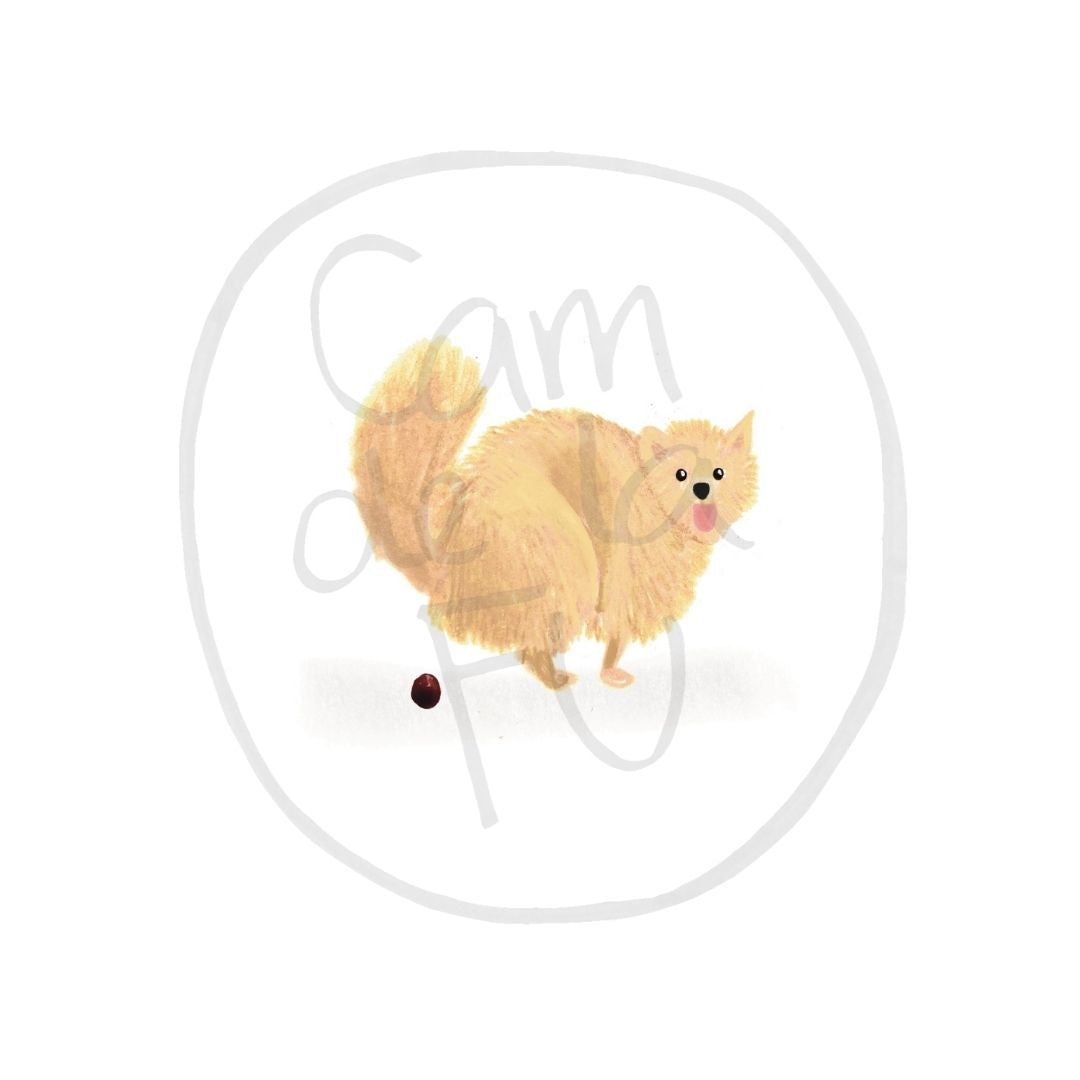 Pomerania